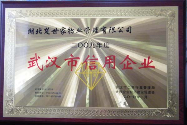 2009年荣获“武汉市信用企业”称号